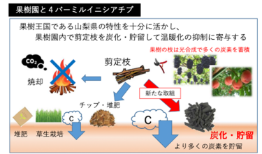 イメージ写真