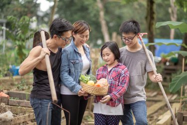 地方自治体の人口減少に対する取り組み事例